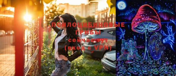 spice Заводоуковск